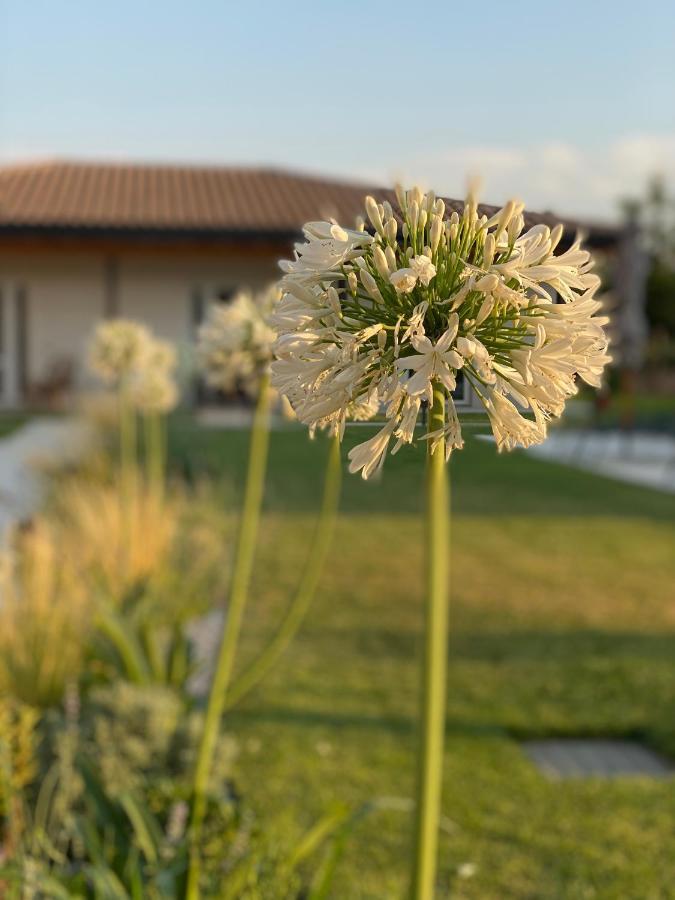 Agriturismo Pepe Rosa Rivoli Veronese Экстерьер фото